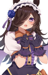 Rule 34 | 1girl, absurdres, black gloves, blue flower, blue rose, bow, brown hair, center frills, claw pose, commentary, fangs, flower, frills, gloves, hair over one eye, headdress, highres, horse girl, kaoru (h8qm9), long hair, looking at viewer, official alternate costume, open mouth, puffy short sleeves, puffy sleeves, purple eyes, rice shower (make up vampire!) (umamusume), rice shower (umamusume), rose, short sleeves, simple background, solo, striped, striped bow, umamusume, white background