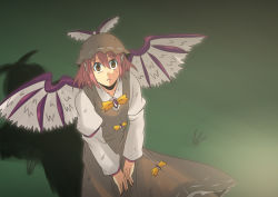 Rule 34 | 1girl, bad id, bad pixiv id, dirty, female focus, from above, hat, hiromasa (1365), hiromasa (pixiv265599), looking up, mystia lorelei, shadow, solo, standing, touhou, wings