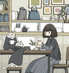 Rule 34 | 1girl, black eyes, black hair, black shirt, blush, cat, chair, collared dress, cup, dress, highres, holding, holding cup, indoors, layered sleeves, leaf, long sleeves, multiple cats, no nose, original, plant, shirt, short hair, short over long sleeves, short sleeves, smile, striped clothes, striped dress, table, tameikirakuda