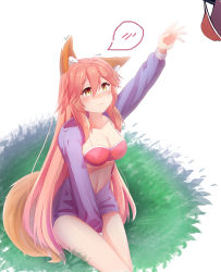 Rule 34 | 10s, 1girl, animal ears, bad id, bad pixiv id, blush, bra, breasts, cleavage, collarbone, embarrassed, fate/extra, fate/extra ccc, fate/grand order, fate (series), fox ears, fox tail, grass, highres, large breasts, long hair, panties, pink bra, pink hair, sitting, solo, speech bubble, sugar, tail, tamamo (fate), tamamo no mae (fate/extra), underwear, very long hair, wavy mouth, yellow eyes