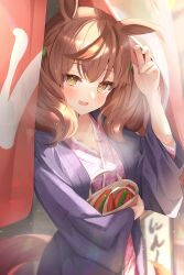 Rule 34 | 1girl, absurdres, after bathing, animal ears, blush, brown hair, hanten (clothes), highres, horse ears, horse girl, horse tail, japanese clothes, kimono, looking at viewer, nice nature (umamusume), hugging object, purple kimono, sky cappuccino, smile, solo, steam, tail, umamusume, wet, wet hair