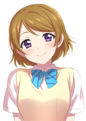 Rule 34 | 1girl, absurdres, bad id, bad twitter id, blue bow, blue bowtie, blush, bow, bowtie, brown hair, closed mouth, head tilt, highres, koizumi hanayo, looking at viewer, love live!, love live! school idol project, purple eyes, school uniform, sekina, shirt, short hair, short sleeves, smile, solo, upper body, vest, white shirt, yellow vest