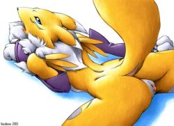 Rule 34 | 00s, 1girl, 2003, arched back, black sclera, colored sclera, digimon, digimon (creature), digimon tamers, feet out of frame, female focus, from above, from behind, furry, karabiner, looking at viewer, nude, pussy, renamon, simple background, solo, spread legs, tail, tail raised, tsurime, uncensored, white background, white fur, yellow fur
