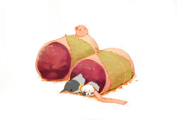 Rule 34 | 3others, artist name, bird, chai (drawingchisanne), commentary request, food, food focus, highres, lying, multiple others, no humans, on stomach, original, penguin, sakura mochi, scarf, simple background, sitting on food, wagashi, white background