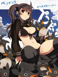 Rule 34 | 1girl, :&lt;, animal, bikini, bird, black bikini, black hair, black thighhighs, blue sky, blush, breasts, brown hair, caee penguin, cameltoe, cleavage, clothes lift, cloud, covered erect nipples, day, fingernails, front-tie top, highres, long hair, looking at viewer, medium breasts, navel, no pants, original, parted lips, penguin, red eyes, school uniform, serafuku, shirt lift, sitting, sky, solo, swimsuit, thighhighs, twintails
