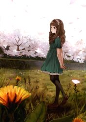 Rule 34 | 1girl, absurdres, arms behind back, black pantyhose, blunt bangs, brown hair, cherry blossoms, dress, field, flower, hairband, highres, kishida mel, looking to the side, mary janes, original, pantyhose, ribbon, shoes, solo, wavy hair