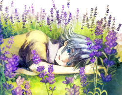 Rule 34 | 1boy, aofujiake, blue eyes, flower, fubuki shirou, grass, inazuma eleven, inazuma eleven (series), lavender, lavender (flower), lying, male focus, scarf, smile, solo, white hair