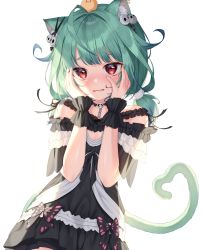 Rule 34 | 1girl, absurdres, ahoge, animal, animal ear fluff, animal ears, animal on head, bad id, bad twitter id, bird, bird on head, black choker, black dress, blush, cat ears, cat girl, cat tail, chick, choker, commentary request, dress, green hair, hair ornament, hands on own face, hands up, harusame (user wawj5773), highres, hololive, long hair, looking at viewer, noise, off-shoulder dress, off shoulder, on head, parted lips, piyoko (uruha rushia), red eyes, short sleeves, simple background, skull hair ornament, solo, tail, twintails, upper body, uruha rushia, uruha rushia (3rd costume), virtual youtuber, white background, wrist cuffs