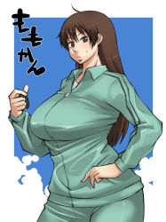 Rule 34 | 00s, 1girl, border, breasts, brown eyes, brown hair, contrapposto, enoshima iki, green background, gym outfit, gym uniform, hand on own hip, huge breasts, long hair, looking at viewer, matching hair/eyes, momoe maria, ookiku furikabutte, simple background, solo, sweatdrop, track suit, white border, zipper
