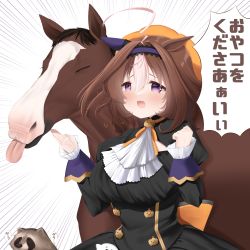 Rule 34 | &gt; &lt;, :3, @ @, absurdres, ahoge, animal ears, black dress, blush, breasts, brown hair, clenched hand, closed eyes, commentary, creature and personification, dress, ear covers, emphasis lines, frilled sleeves, frills, hairband, highres, horse ears, horse girl, kanda kaname, large breasts, long sleeves, meisho doto (dot-o&#039;-lantern) (umamusume), meisho doto (racehorse), meisho doto (umamusume), multicolored hair, official alternate costume, orange headwear, puffy sleeves, purple eyes, purple hairband, real life, short hair, single ear cover, tanuki, tongue, tongue out, translated, two-tone hair, umamusume, white hair