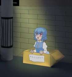 Rule 34 | 1girl, abandoned, blue eyes, blue hair, blush, box, crying, crying with eyes open, d:, for adoption, heterochromia, in box, in container, isaki (gomi), juliet sleeves, long sleeves, matching hair/eyes, open mouth, puffy sleeves, red eyes, sad, short hair, solo, tatara kogasa, tears, touhou, tunic