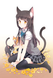 Rule 34 | 1girl, animal ears, bad id, bad pixiv id, bell, black hair, black thighhighs, blue bow, blue bowtie, bow, bowtie, cat, cat ears, cat tail, diagonal-striped bow, diagonal-striped bowtie, diagonal-striped clothes, flower, frown, full body, jewelry, long hair, nardack, necklace, original, plaid, plaid skirt, simple background, sitting, skirt, solo, striped clothes, tail, thighhighs, v arms, wariza, white background, yellow eyes