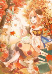 Rule 34 | 2girls, :d, ^ ^, animal, autumn leaves, bad id, bad pixiv id, beret, bird, black capelet, black hat, blonde hair, bob cut, book, book on lap, book stack, capelet, chipmunk, closed eyes, commentary request, day, deer, dress, fairy, fox, frilled sleeves, frills, green eyes, green hair, hat, holding, holding leaf, index finger raised, leaf, maple leaf, millcutto, mini person, minigirl, multiple girls, mushroom, open book, open mouth, original, outdoors, rabbit, round teeth, shoes, sitting, smile, squirrel, teeth, upper teeth only, wide sleeves
