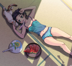 Rule 34 | 1girl, armpits, bad id, bad pixiv id, black hair, camisole, cat, flower, food, from above, fruit, green eyes, hand fan, lying, midriff, namisaki yuka, navel, on back, original, panties, paper fan, popsicle, shade, short hair, solo, striped clothes, striped panties, sunflower, tatami, testicles, thighs, tupet, uchiwa, underwear, watermelon, wind chime