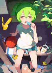 Rule 34 | 1girl, absurdres, akajakushi, architecture, arm support, ball, barefoot, baseball, basketball (object), blue shorts, blush, bug, butterfly, commentary request, drink, east asian architecture, food, foot out of frame, from above, furrowed brow, green hair, half-closed eyes, hand up, highres, holding food, holding popsicle, hot, insect, looking up, outdoors, popsicle, shade, shirt, short sleeves, shorts, shouji, sitting, sliding doors, solo, sunlight, sweat, t-shirt, towel, tree, veranda, voicevox, white shirt, yellow butterfly, yellow eyes, zundamon