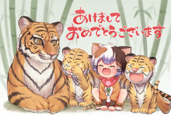 Rule 34 | 1boy, animal, animal ears, child, chinese zodiac, commentary request, cub, fang, giuniu-yo1021, highres, open mouth, original, solo focus, tail, tiger, tiger cub, tiger ears, tiger tail, virtual youtuber, year of the tiger