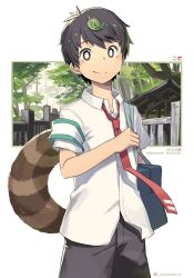 Rule 34 | 1boy, armband, black hair, black shorts, borrowed character, bright pupils, collared shirt, leaf, leaf on head, looking at viewer, male focus, necktie, original, outdoors, raccoon tail, red necktie, shirt, short hair, short sleeves, shorts, smile, solo, steelwire, tail, torax, twitter username, white pupils, white shirt