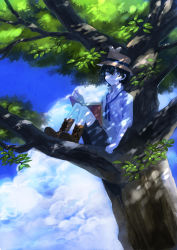 Rule 34 | androgynous, bad id, bad pixiv id, bird, black hair, blue eyes, book, boots, cloud, dappled sunlight, day, gender request, hat, highres, in tree, kyouichi, male focus, original, shade, shorts, sitting, sitting in tree, sky, solo, sunlight, tree