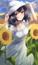 Rule 34 | 1girl, absurdres, bare shoulders, blue hair, blue sky, breasts, day, dress, field, flower, flower field, hat, highres, hotate-chan, idolmaster, idolmaster shiny colors, looking at viewer, morino rinze, outdoors, red eyes, short hair, sky, small breasts, smile, sun hat, sunflower, sunflower field, white dress
