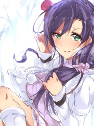 Rule 34 | 10s, 1girl, bad id, bad pixiv id, blush, breasts, green eyes, hair over shoulder, highres, large breasts, long hair, looking at viewer, love live!, love live! school idol project, mope, purple hair, sketch, smile, snow halation, solo, tojo nozomi, twintails