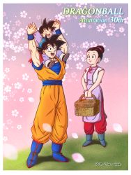 Rule 34 | 1girl, 2016, 2boys, :d, artist name, basket, black eyes, black hair, boots, carrying, chi-chi (dragon ball), child, chinese clothes, closed eyes, copyright name, dated, dougi, dragon ball, dragonball z, father and son, floral background, framed, happy, highres, looking at another, masa (p-piyo), mother and son, multiple boys, open mouth, simple background, smile, son goku, son goten, spiked hair, standing, waistcoat, wristband