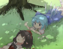Rule 34 | 2girls, :o, bad id, bad pixiv id, blue dress, blue eyes, blue hair, blush, bow, brown hair, cirno, commentary request, dappled sunlight, day, dress, closed eyes, flower, grass, hair bow, hat, highres, ice, ice wings, kototoki, leg up, lying, multiple girls, on stomach, outdoors, petals, pointy ears, shameimaru aya, short hair, short sleeves, sleeping, smile, sunlight, texture, tokin hat, touhou, tree, wings