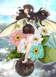 Rule 34 | 1girl, arm up, arthropod girl, ass, backless dress, backless outfit, barefoot, black dress, black hair, brown eyes, dress, dung beetle, fairy, feet, flower, from behind, full body, hair flower, hair ornament, highres, insect wings, kneepits, leg up, legs, long hair, looking back, nyoro (nyoronyoro000), open mouth, original, personification, plant, short dress, smile, soles, solo, toes, wings