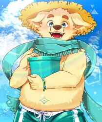 Rule 34 | 1boy, blue eyes, blue scarf, blue sky, blush, bucket, copyright request, dog, furry, furry male, green male swimwear, hat, highres, lens flare, looking at viewer, male focus, male swimwear, ocean, open mouth, personification, scarf, sharp teeth, sky, solo, summer, teeth, thick eyebrows, yellow hat, yoiboshi 123