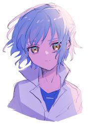 Rule 34 | 1boy, aged down, blue hair, blue shirt, child, closed mouth, highres, jacket, jewelry, light blue hair, looking at viewer, mahoutsukai no yakusoku, male focus, necklace, nero turner, piza-chan, shirt, short hair, solo, white background, white jacket, yellow eyes