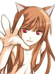 Rule 34 | 00s, animal ears, brown hair, holo, nude, red eyes, ribi, spice and wolf, wolf ears
