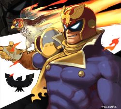 Rule 34 | 1boy, animal, arm up, bird, captain falcon, conto, f-zero, falcon, fire, gloves, glowing, glowing eyes, helmet, male focus, muscular, name connection, nintendo, scarf, simple background, smile, solo, standing, super smash bros., upper body, wings