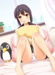 Rule 34 | 10s, 1girl, barefoot, bedroom, black hair, black skirt, brown eyes, closed mouth, curtains, dutch angle, failure penguin, fubuki (kancolle), hair ornament, hairclip, indoors, kantai collection, knees up, looking at viewer, md5 mismatch, hugging object, on bed, ookawa wataru, panties, pantyshot, pillow, pillow hug, plant, potted plant, remodel (kantai collection), school uniform, serafuku, sitting, skirt, smile, solo, spread legs, thighs, underwear, white panties, window