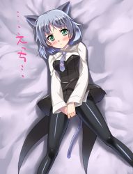 Rule 34 | 00s, 1girl, animal ears, black legwear, blush, breasts, cat ears, cat girl, cat tail, female focus, green eyes, necktie, sanya v. litvyak, short hair, silver hair, solo, strike witches, tail, translation request, uniform, world witches series
