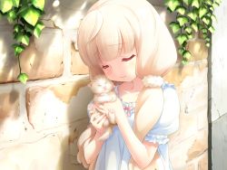 Rule 34 | 1girl, 3:, animal, blonde hair, brick wall, cafe sourire, cat, closed eyes, game cg, gayarou, holding, holding animal, holding cat, kitten, low twintails, ogiwara kyouko, plant, scrunchie, solo, twintails, vines