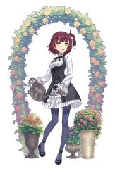 Rule 34 | 1girl, :d, arch, black footwear, blue pantyhose, breasts, brown hair, floral arch, flower, flower arch, full body, gloves, highres, looking at viewer, official art, open mouth, pantyhose, plant, potted plant, princess principal, princess principal game of mission, school uniform, shoes, skirt, small breasts, smile, solo, standing, stephanie (princess principal), transparent background, vase, watering can, white gloves, white skirt, yellow eyes