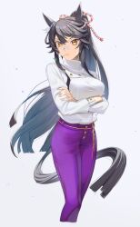 Rule 34 | 1girl, absurdres, animal ears, arms under breasts, bandaid, bandaid on face, bandaid on nose, black hair, breasts, closed mouth, cropped legs, crossed arms, grey background, highres, horse ears, horse girl, horse tail, kanpiro, long hair, long sleeves, looking at viewer, medium breasts, mouth hold, narita brian (umamusume), pants, purple pants, rope, shimenawa, shirt, shirt tucked in, simple background, solo, stalk in mouth, tail, umamusume, white shirt, yellow eyes