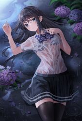 Rule 34 | 1girl, :|, black bra, black hair, black skirt, black thighhighs, blue bow, blue eyes, bow, bowtie, bra, buttons, closed mouth, collared shirt, commentary, cowboy shot, dress shirt, expressionless, flower, from above, highres, legs together, long hair, looking at viewer, lying, on back, original, petals, plant, pleated skirt, rain, ripples, school uniform, see-through, shirt, short sleeves, skirt, solo, straight hair, striped bow, striped bowtie, striped clothes, sukuemon, thighhighs, thighs, underwear, wet, wet clothes, wet shirt, white shirt