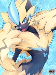 Rule 34 | 1other, :3, animal ears, animal hands, animal nose, arched back, arm up, artist name, black fur, blue background, blue eyes, blue fur, body fur, cat ears, claws, collarbone, copyright name, creatures (company), english text, fangs, furry, game freak, gen 7 pokemon, hand up, happy, legendary pokemon, logo, looking at viewer, multicolored fur, mythical pokemon, navel, nintendo, open mouth, other focus, outline, pokemon, pokemon (creature), pokemon unite, signature, smile, solo, standing, stomach, suahh, tongue, tongue out, upper body, whiskers, white outline, yellow fur, zeraora