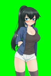Rule 34 | 1girl, arms behind back, bad id, bad twitter id, black hair, blue eyes, bound, bound arms, breasts, cleavage, green background, jacket, large breasts, looking at viewer, shirt, shorts, socks, t-shirt, thighhighs, zee (zee sub)